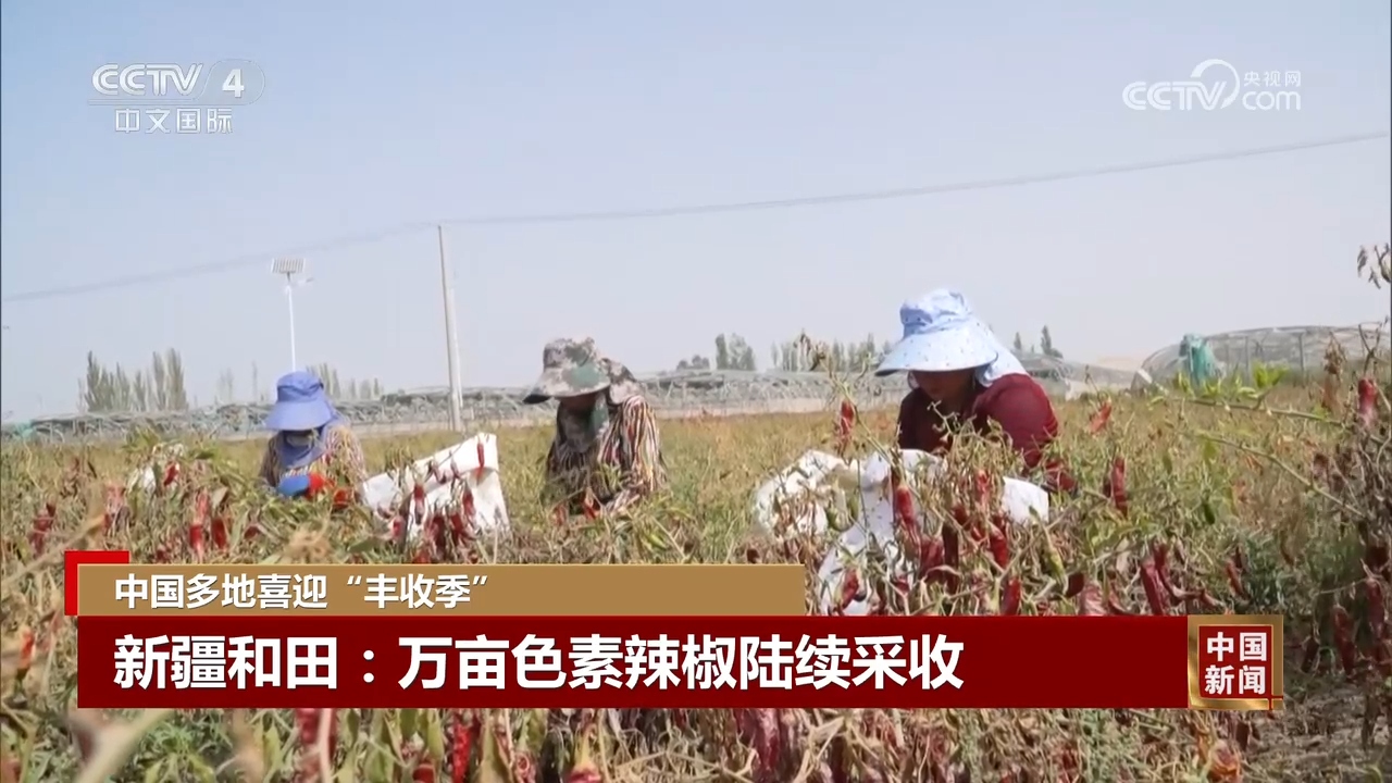 丰”景 中国多地喜迎“丰收季”OG真人游戏金秋时节处处好“(图7)