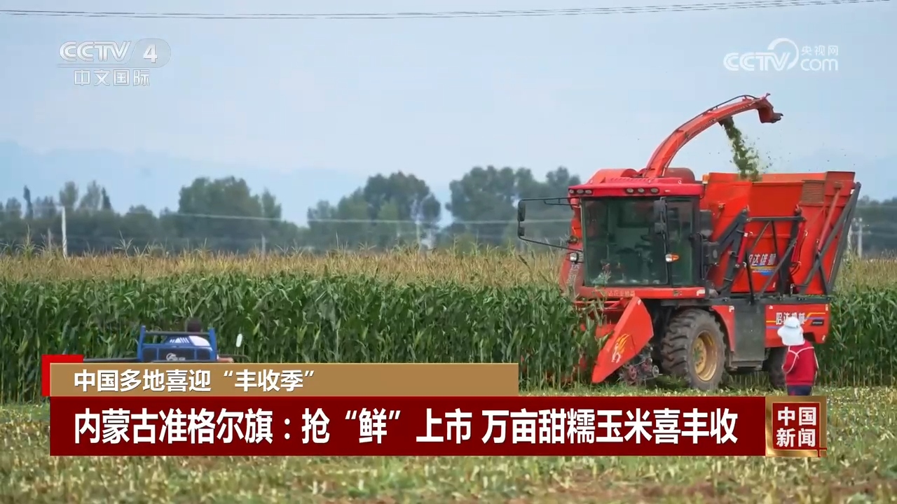 丰”景 中国多地喜迎“丰收季”OG真人游戏金秋时节处处好“(图8)